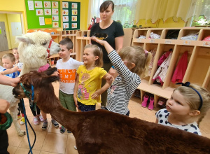 Alpaki cudaki na zakończeniu roku w grupie Biedronek